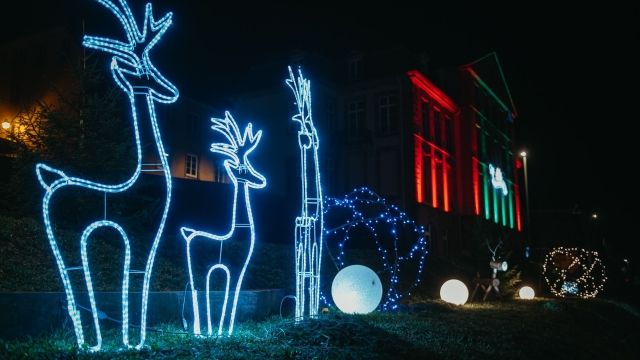 Marché de Noël de Bitche Image de Marché de Noël de Bitche